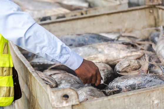 small businesses Ghana